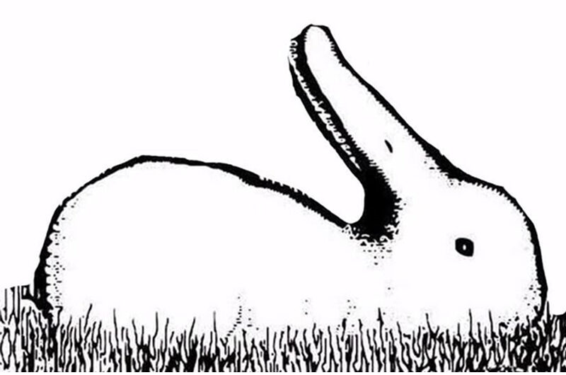¿Ves un pato o un conejo? Lo que veas primero te revelará muchas cosas que ocultas y no sabes.