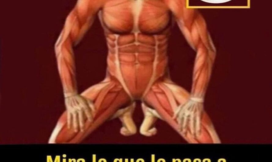 Esto le sucede a tu cuerpo si tomas café todos los días.