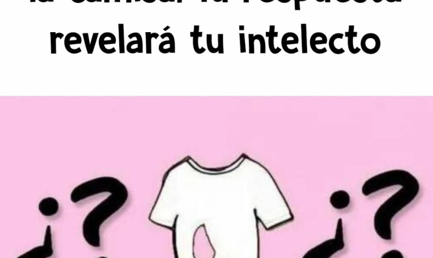 ¿Puedes adivinar cuantos agujeros tiene esta camiseta?