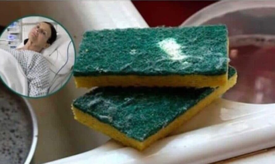No volverás a usar esponjas para lavar los platos después de conocer esto.