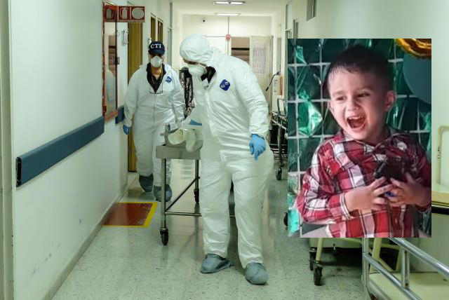 Falleció un niño por la picadura de un peligroso animal.